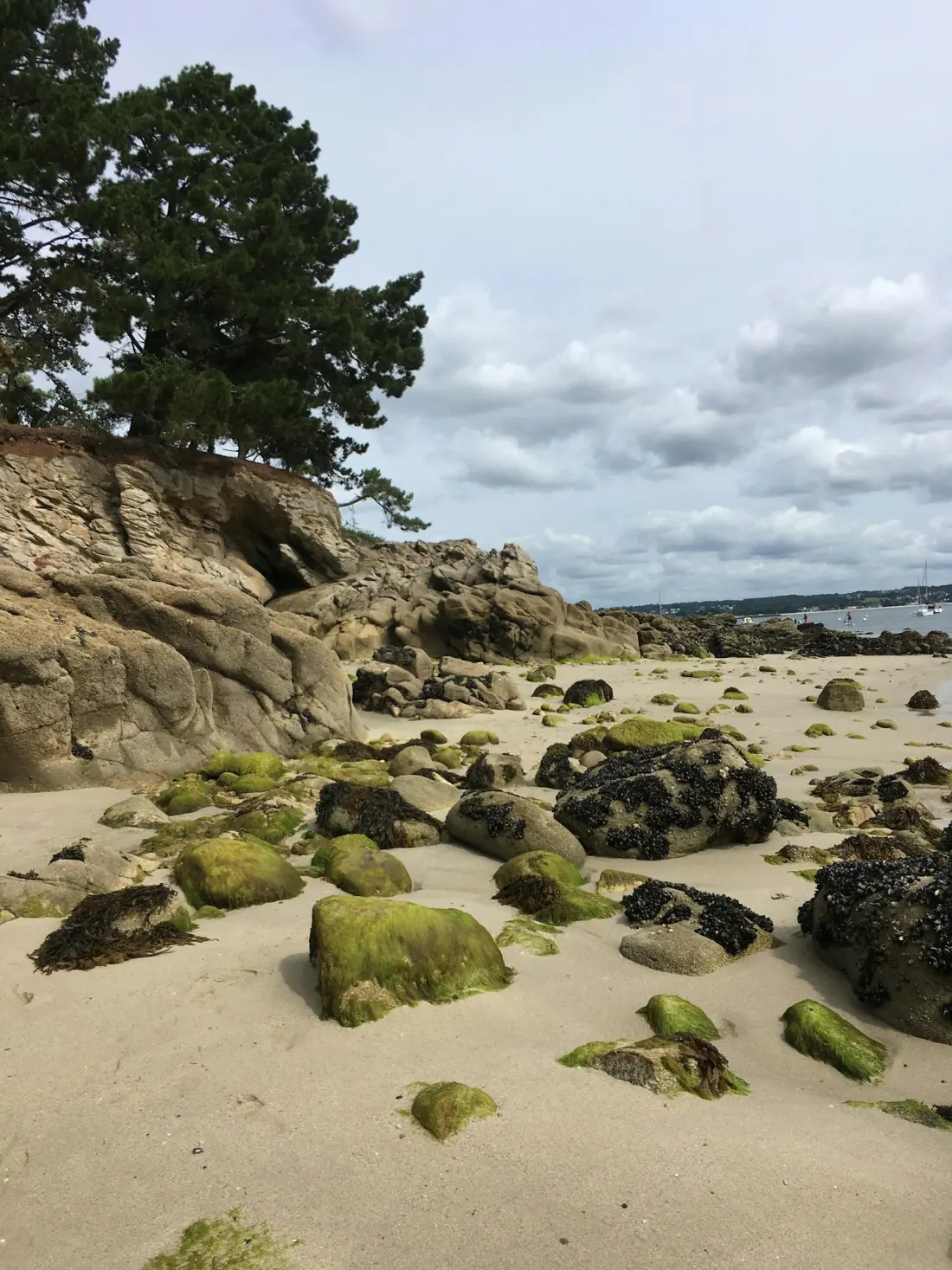Conciergerie Airbnb Saint-Énogat · Prieuré Dinard
